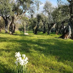 Antico Uliveto Seravezza